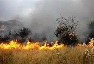 اعزام محیط‌بانان خراسان شمالی برای مهار آتش‌سوزی پارک ملی گلستان