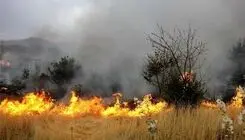 اعزام محیط‌بانان خراسان شمالی برای مهار آتش‌سوزی پارک ملی گلستان