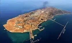 پناه آوردن آهو‌های خارک به خیابان‌ها از ترس صداهای انفجار/ فیلم