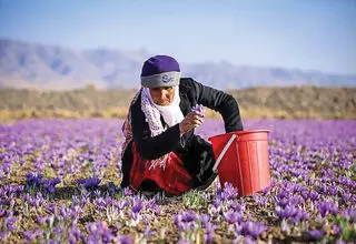 اتحاد زعفرانی