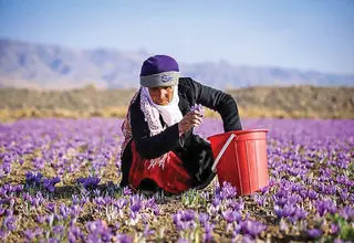 اتحاد زعفرانی