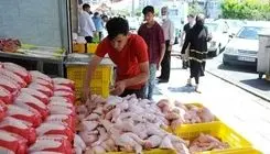 آخرین وضعیت بازار مرغ و تخم‌مرغ