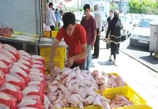 آخرین وضعیت بازار مرغ و تخم‌مرغ