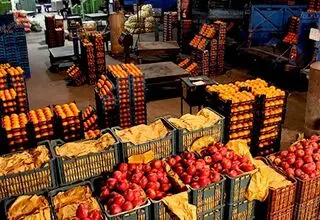 توزیع میوه در روزهای نوروز با قیمت مناسب و مصوب