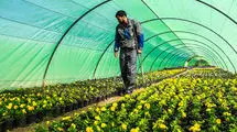 ابلاغ  الگوی کشت تا مهر امسال 