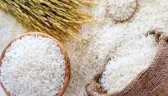 قیمت برنج ایرانی اعلام شد؛ هر کیلو ۱۹۰ تا ۳۲۰ هزارتومان!