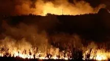 دو جبهه آتش در مراتع شمال و باغات جنوب کشور