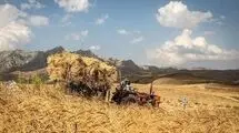 تذکر نمایندگان درباره تأخیر در پرداخت مطالبات گندمکاران