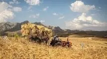 تذکر نمایندگان درباره تأخیر در پرداخت مطالبات گندمکاران