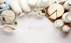 سرانه مصرف لبنیات به کمتر از ۵۰ کیلو رسید