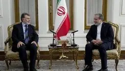 دیدار خداحافظی سفیر ترکیه با عراقچی