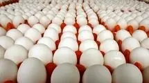 قیمت تخم مرغ اعلام شد؛ هرشانه تخم مرغ برای مصرف کننده ۱۷۵ تا ۱۸۰ هزارتومان