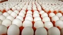 قیمت تخم مرغ اعلام شد؛ هرشانه تخم مرغ برای مصرف کننده ۱۷۵ تا ۱۸۰ هزارتومان