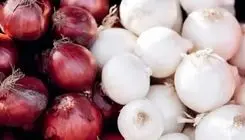 پیاز سفید بهتر است یا قرمز؟