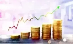 مجلس تکلیف حقوق ۱۴۰۵ را روشن کرد 