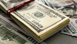 دلار و کارنامه فرزین 