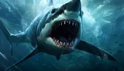 مگالودون: بزرگترین کوسه تاریخ