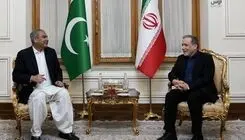 سفر وزیر کشور پاکستان به تهران