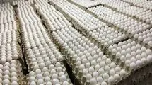 کاهش قیمت تخم مرغ در بازار؛ هرکیلو تخم مرغ درب مرغداری ۱۲۰ هزارتومان