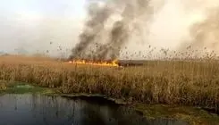 هشدار تکرار آتش‌سوزی‌های یک تالاب