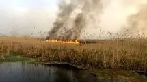 هشدار تکرار آتش‌سوزی‌های یک تالاب
