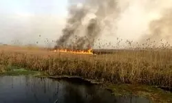 هشدار تکرار آتش‌سوزی‌های یک تالاب