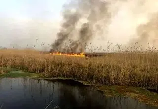 هشدار تکرار آتش‌سوزی‌های یک تالاب