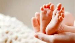 شایعه عجیب درباره روغن حیوانی