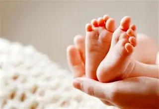 شایعه عجیب درباره روغن حیوانی