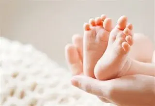 شایعه عجیب درباره روغن حیوانی