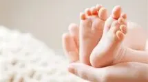 شایعه عجیب درباره روغن حیوانی