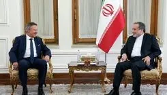 دیدار خداحافظی سفیر آلمان با عراقچی