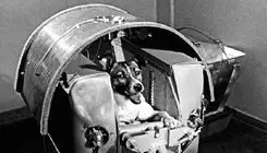 داستان سگی که اولین مسافر فضایی تاریخ شد