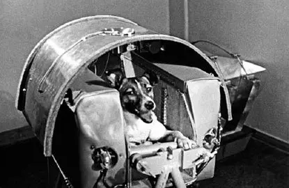 داستان سگی که اولین مسافر فضایی تاریخ شد