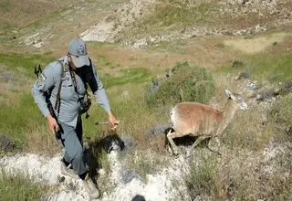 محیط‌بان کرمانی «محمدامین خوارزمی» از زندان آزاد شد