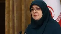 توضیحات مهاجرانی درباره تشکیل کارگروه «سرمایه‌گذاری برای تولید» 