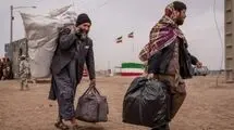 مخفی کردن اتباع غیرمجاز مجازات دارد!