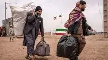مخفی کردن اتباع غیرمجاز مجازات دارد!