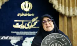 خبر حذف ارز ترجیحی کالاهای اساسی و دارو شایعه است