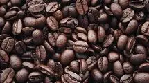 آغاز ثبت سفارش فصل تابستان برای چهار محصول از ۱۶ تیرماه