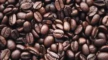 آغاز ثبت سفارش فصل تابستان برای چهار محصول از ۱۶ تیرماه