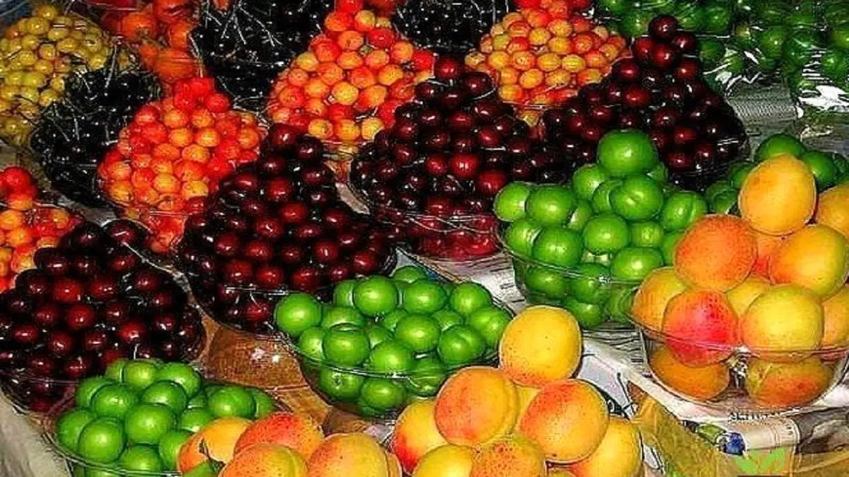 کاهش ۲۰ تا ۳۰ درصدی قیمت میوه های نوبرانه