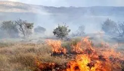مراتع جنگلی روستای «نمنق» جلفا طعمه حریق شد