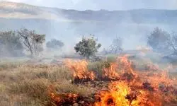 مراتع جنگلی روستای «نمنق» جلفا طعمه حریق شد