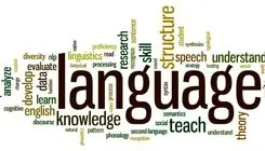 از خلاقیت نسل زد تا خطر فراموشی زبان فارسی