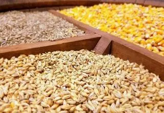آغاز ثبت‌سفارش نهاده‌های دامی از امروز ۱۷ خرداد