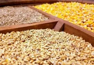 آغاز ثبت‌سفارش نهاده‌های دامی از امروز ۱۷ خرداد