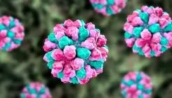 عفونت‌ نوروویروس در چین شیوع پیدا کرد