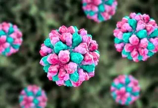 عفونت‌ نوروویروس در چین شیوع پیدا کرد