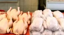 خبر رسمی درباره قیمت مرغ اعلام شد (۲۰ آبان ۱۴۰۴)